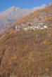 20071103_135632 Boschi di Cola.jpg